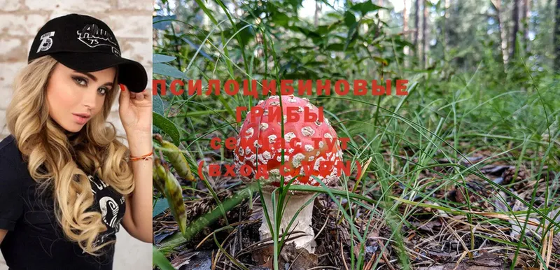 Псилоцибиновые грибы Magic Shrooms  MEGA онион  Белый 